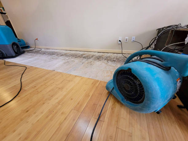 Professional Sewage Cleanup technician working in Montgomery Village, MD